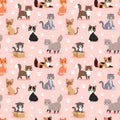 Cat breed cute kitten pet portrait fluffy young adorable cartoon animal vector illustration seamless pattern