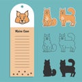 cat breed maine coon. Set of stickers, silhouettes and contour line doodle vector illustrations pedigree pet. Design
