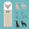 cat breed oriental shorthair. Set of stickers, silhouettes and contour line doodle vector illustrations pedigree pet Royalty Free Stock Photo