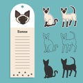 cat breed siamese. Set of stickers, silhouettes and contour line doodle vector illustrations pedigree pet. Design label