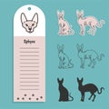 cat breed sphynx. Set of stickers, silhouettes and contour line doodle vector illustrations pedigree pet. Design label Royalty Free Stock Photo