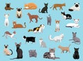 25 Cat Breeds Cartoon Vector Illustration