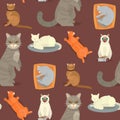 Cat breeds cute kitty pet cartoon cute animal cattish character seamless pattern background catlike illustration