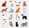 Cat breeds cute pet animal set vector illustration animals icons cartoon different cats