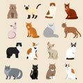 Cat breeds cute pet animal set