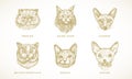 Cat Breeds Illustrations Collection. Hand Drawn Bengal, Sphynx, Siamese, Persian and Maine Coon Adult Cats Face Sketches