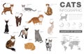 Cat breeds infographic template, vector icons Royalty Free Stock Photo
