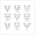 Cat breeds line icon set.