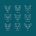 Cat breeds line icon set.