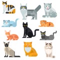 Cat breeds poster cute pet animal set vector illustration.