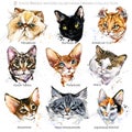 Cat breeds set. Cute pets poster. Cat`s face collection.