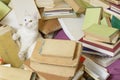 Cat in a bunch of books stretching out its paw