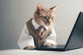 Cat businessman working with leptop in office. AI Generative Royalty Free Stock Photo
