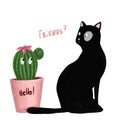 Cat and cactus are friends
