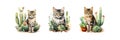 Cat and cactus watercolor set. Vector illustration design Royalty Free Stock Photo