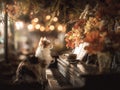 Cat Cafe-Cat on Piano: A moment of serenity featuring a feline companion enjoying a peaceful scene with music and warm beverages Royalty Free Stock Photo