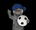 Cat in cap with a ball Royalty Free Stock Photo