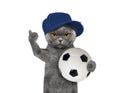 Cat in cap with a ball Royalty Free Stock Photo