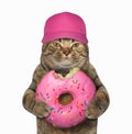 Cat in cap with pink bitten donut Royalty Free Stock Photo