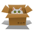 Cat in a cardboard box. Kitten is looking out of a box. Vector