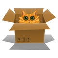 Cat in a cardboard box. Kitten is looking out of a box. Vector