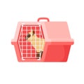 Cat in carrier. Plastic carrying case for traveling with pets or visiting veterinarian. Red cat in transportation box or Royalty Free Stock Photo