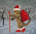 Cat carries Christmas gifts Royalty Free Stock Photo