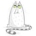 Cartoon grumpy cat. Cute fat cartoon cat illustration with a grumpy expression.