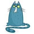 Cartoon grumpy cat. Cute fat cartoon cat illustration with funny expression.