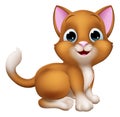 Cat Cartoon Pet Kitten Cute Animal Character Royalty Free Stock Photo