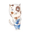 Cat. Cartoon picture with a cat in clothes and a toy. Bright watercolor illustration for children. Royalty Free Stock Photo