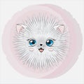 Cartoon round fluffy cat