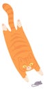 Cat catching mouse. Playful predator. Funny pet Royalty Free Stock Photo