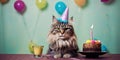 Cat celebrating his birthday with piece of cake and party hat, funny cat wearing festive hat