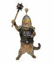 Cat in a chain mail with the mace Royalty Free Stock Photo