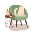 The cat relaxes in a chair