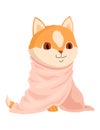 Cat character in blanket. Cartoon drawing of adorable comic domestic animal in warm clothing isolated on white