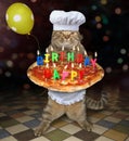 Cat chef carries birthday pizza Royalty Free Stock Photo