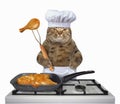 Cat chef is frying a chicken