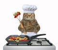 Cat chef is frying vegetables