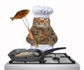 Cat chef is frying fish