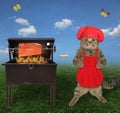 Cat chef grills salmon on skewer 2 Royalty Free Stock Photo