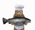 Cat chef holding big fish Royalty Free Stock Photo
