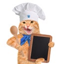 Cat chef. Royalty Free Stock Photo