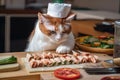 cat chef, making delicious sushi rolls with fresh ingredients Royalty Free Stock Photo