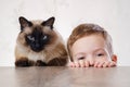 Cat child balinese together play. animal cute Royalty Free Stock Photo