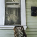 Cat chilling on a window sill during the coronavirus lockdown Royalty Free Stock Photo