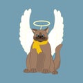 Cat with christmas angel wings and nimbus Royalty Free Stock Photo