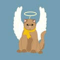 Cat with christmas angel wings and nimbus Royalty Free Stock Photo