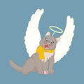 Cat with christmas angel wings and nimbus Royalty Free Stock Photo